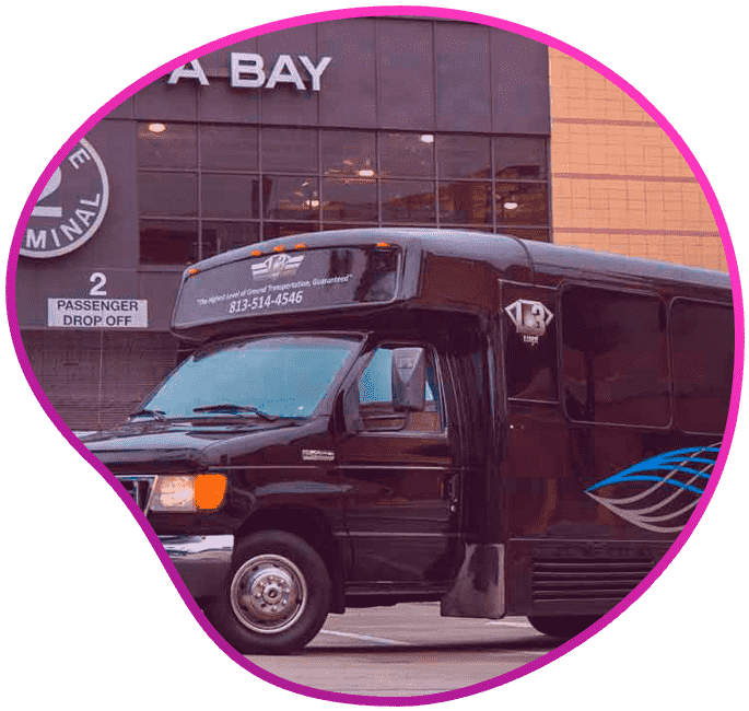 The Mini Party Bus